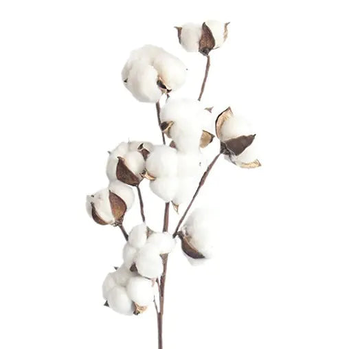 Artificial Multi-Head Cotton Flower Branch for Decor
